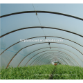 Custom wholesale new products film tomato greenhouse